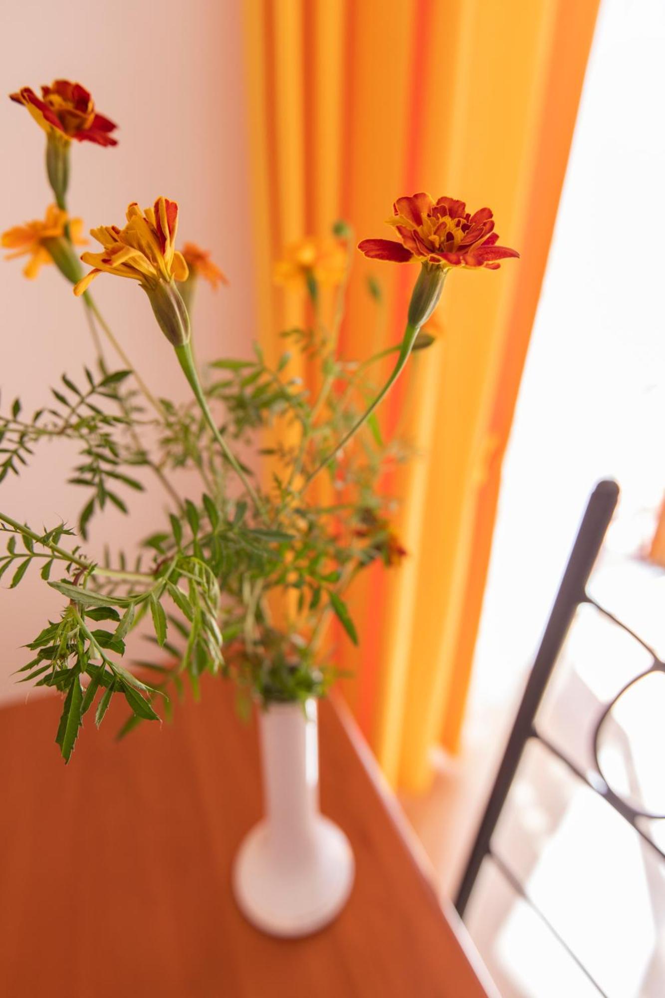 Sant'Anna Bed & Breakfast Agerola Esterno foto