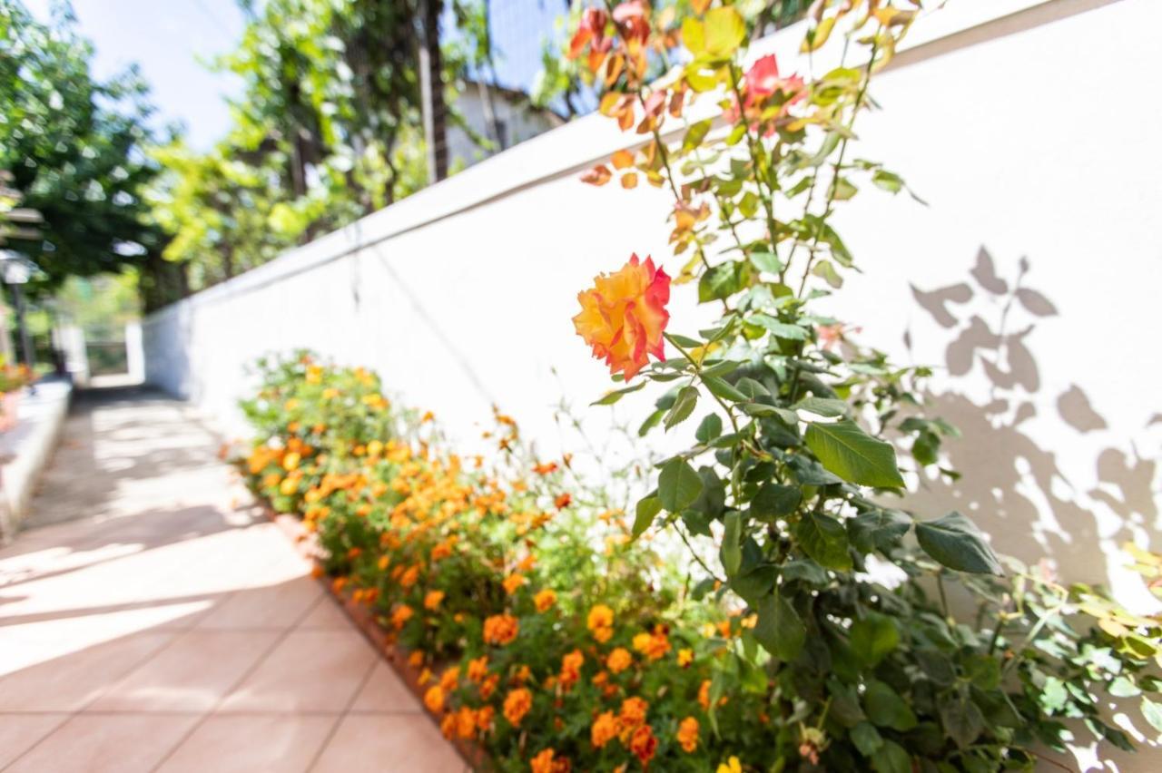 Sant'Anna Bed & Breakfast Agerola Esterno foto